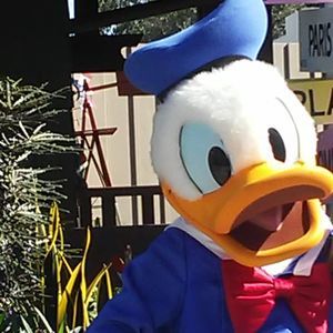 Meet your Posher, Carmela